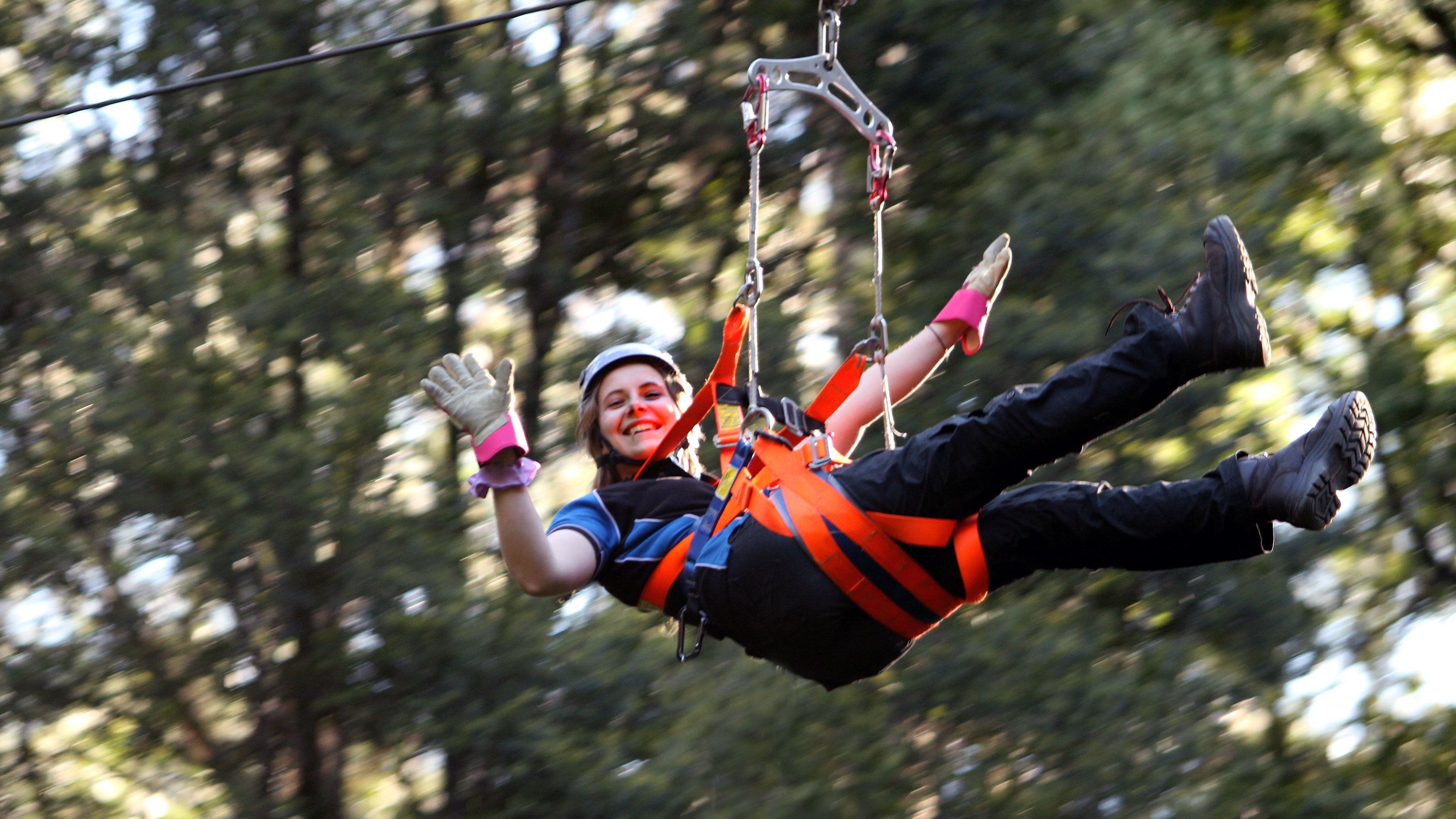 Illawarra Fly Treetop Adventures-Zipline Tour & Treetop Walk