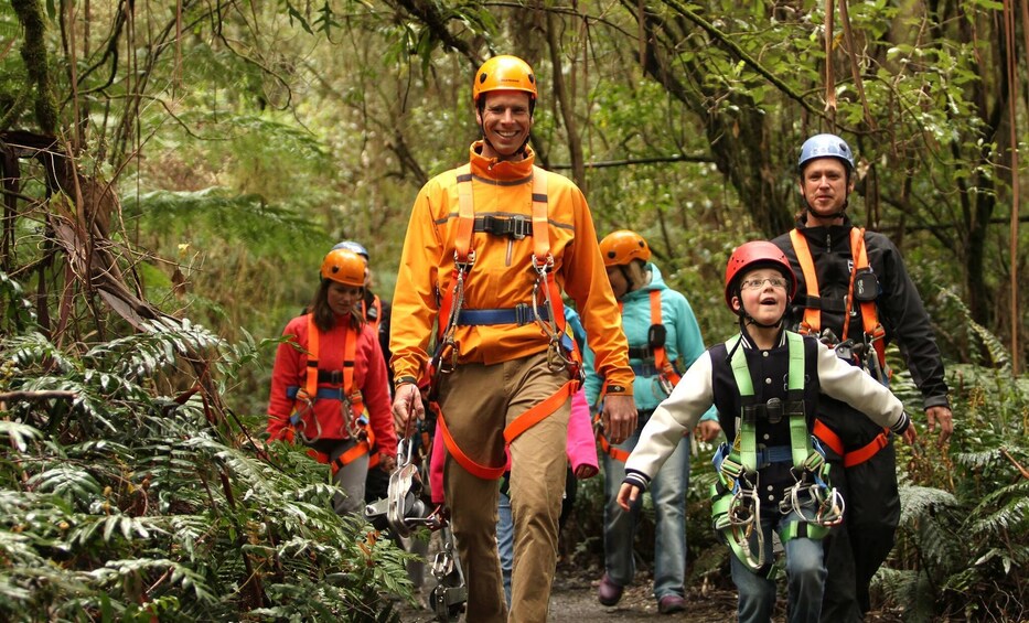 Activity Illawarra Zip Line Adventure Tour