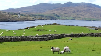 Connemara, Killary, Inagh Valley & Galway City Tour