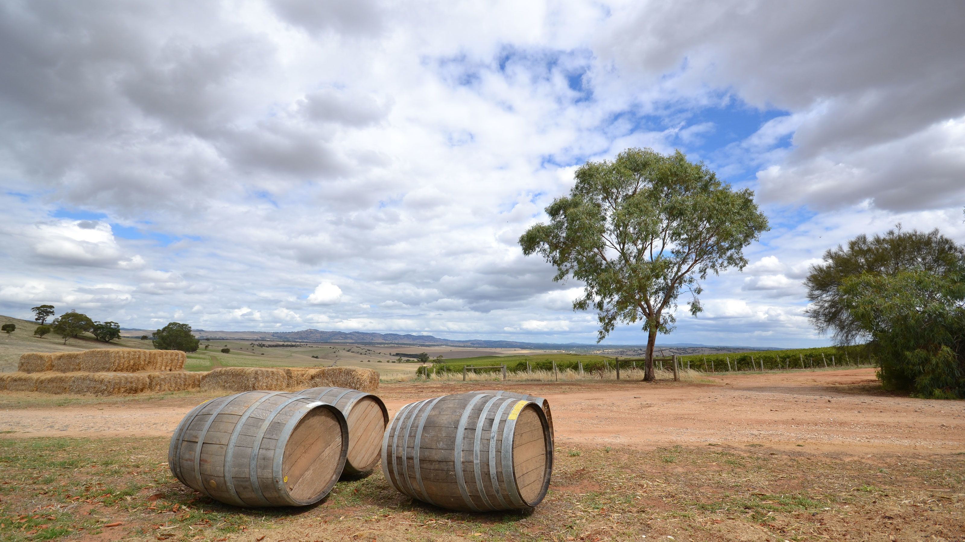 FullDay Barossa Food & Wine Experience