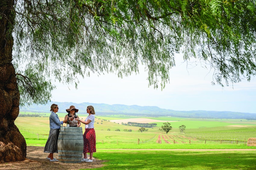 Full-Day Barossa Food & Wine Experience