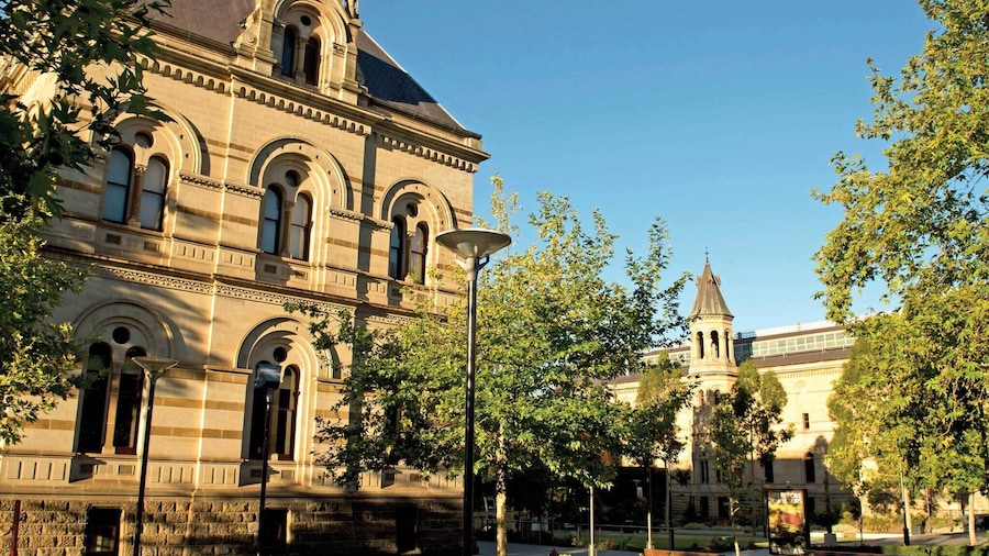 Adelaide City Highlights Half Day Tour