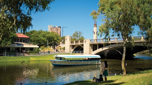 Adelaide City Highlights Half Day Tour