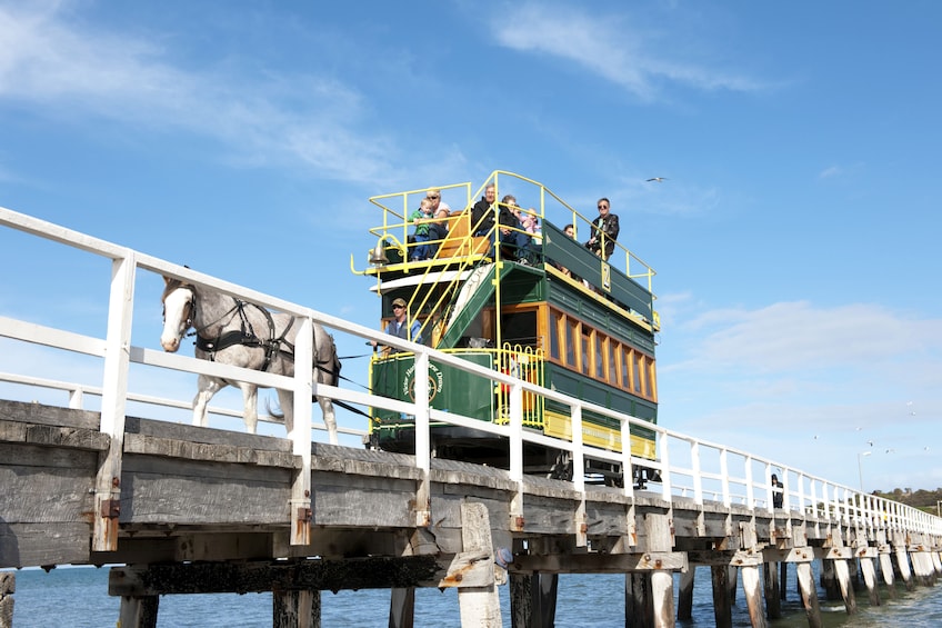 Victor Harbor & McLaren Vale Highlights Full-Day Tour with Lunch