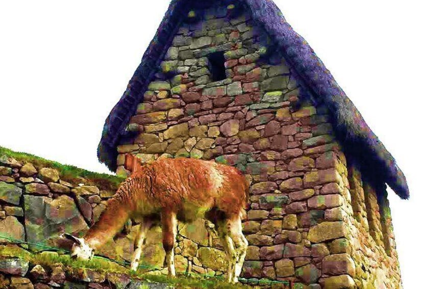 House of the Guardian Machu Picchu