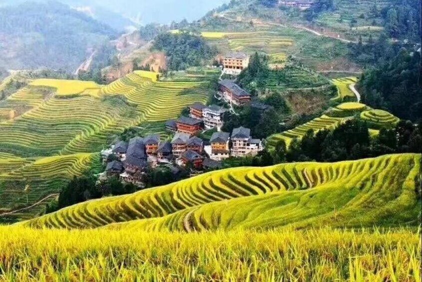 Private day tour: Longji rice terraces & Minority Villages Tour