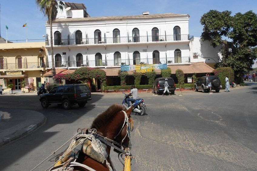 City tour of Saint Louis on a horse-drawn carriage