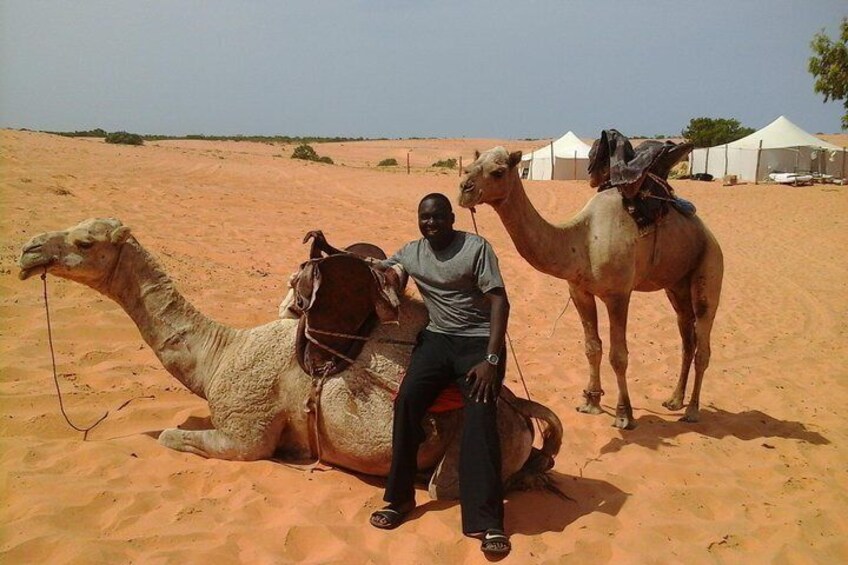 Camel ride in the middle of the desert