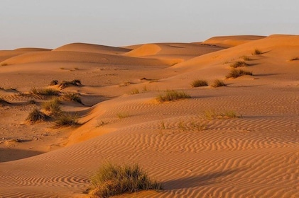 Desert Safari Private