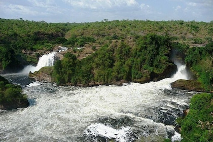 3 Days Murchison Falls Safari (The greatest waterfall)
