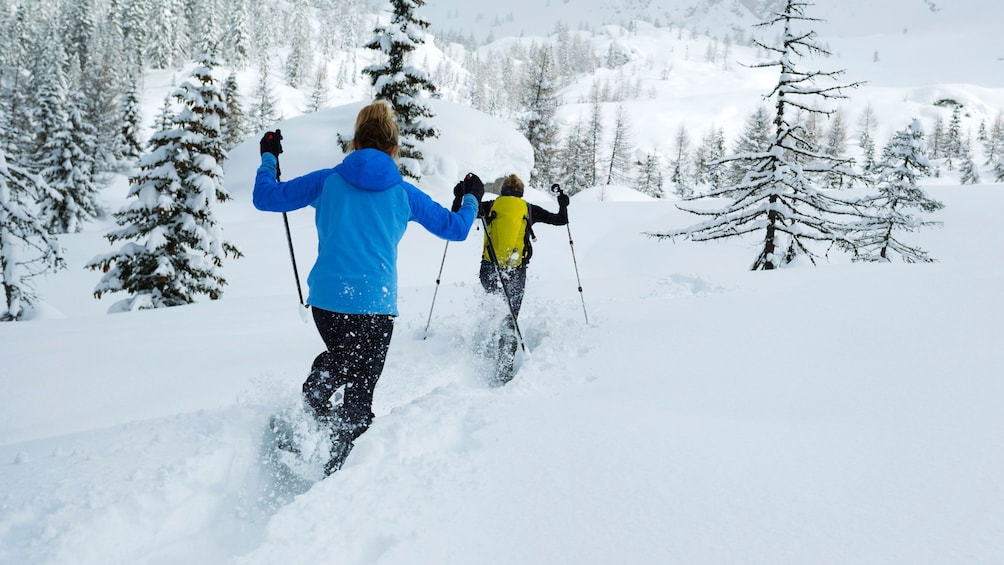Cargar ítem 2 de 4. Kids excitedly snowshoeing in Denver