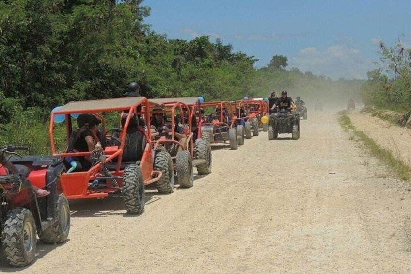 Amber Cove Super Buggys