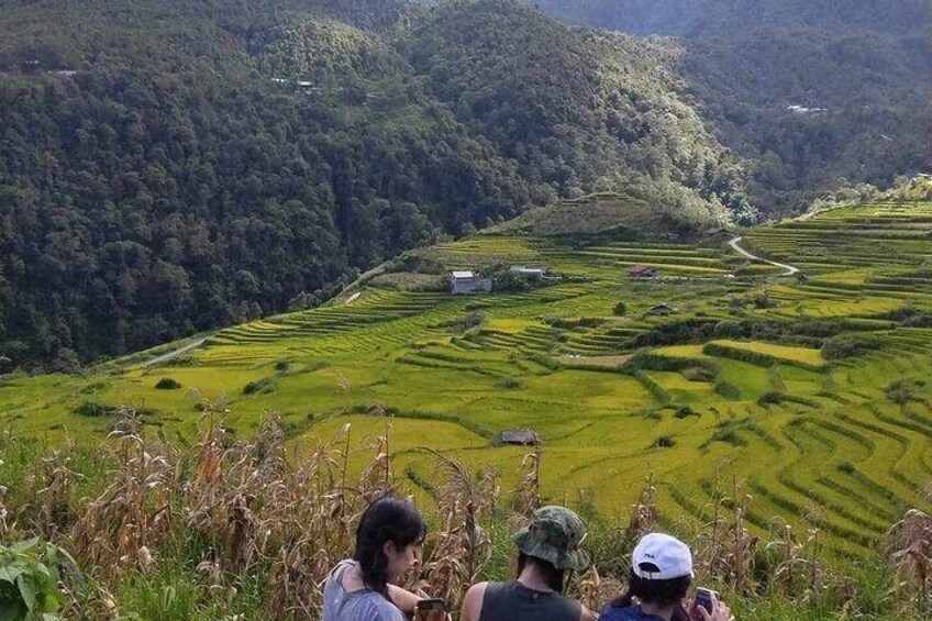 1 Day Sapa Authentic Trekking ( off beaten track )