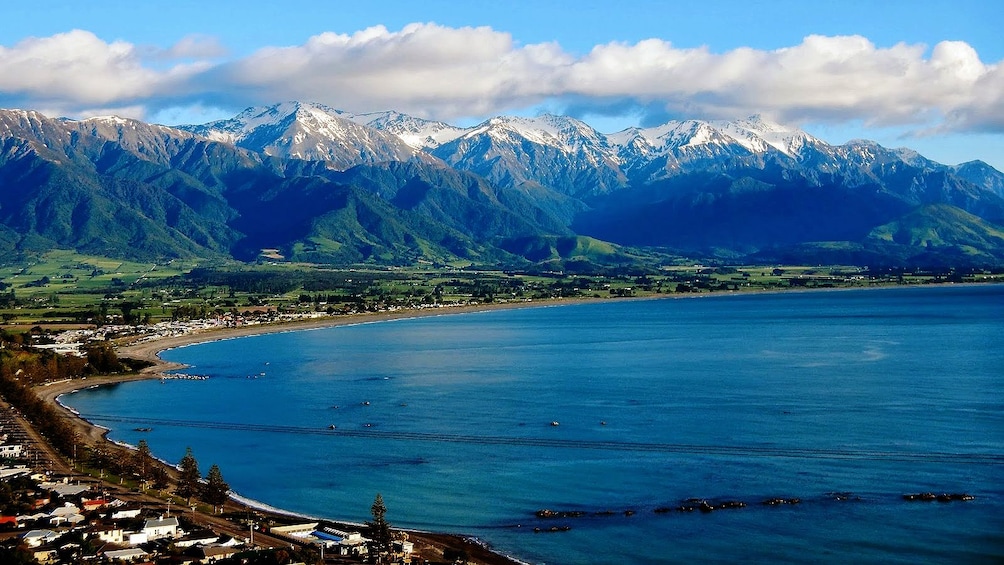 Shore line of Kaikoura dolphin swimming tour in Christchurch New Zealand. 