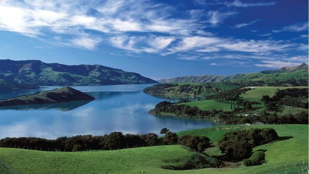 Full-Day Dolphin Swimming Tour Akaroa