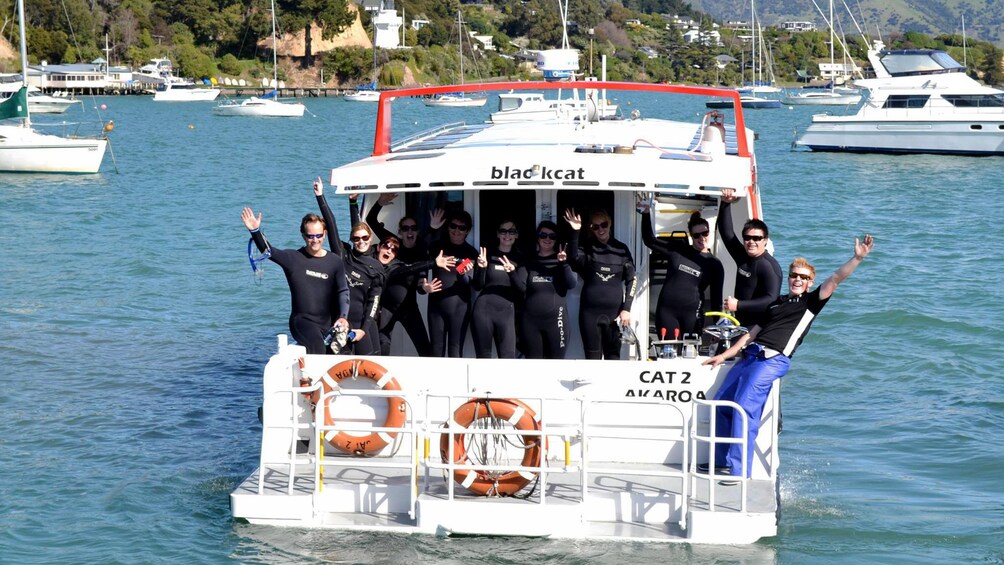 Tour boat on Akaroa dolphin swimming tour in Christchurch New Zealand. 