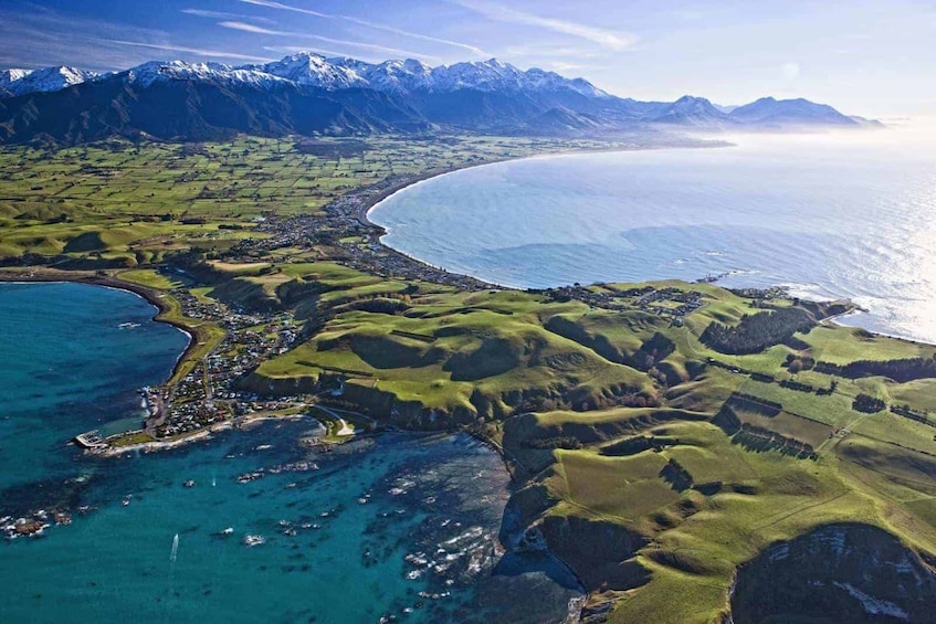 Full-Day Albatross Tour in Kaikoura