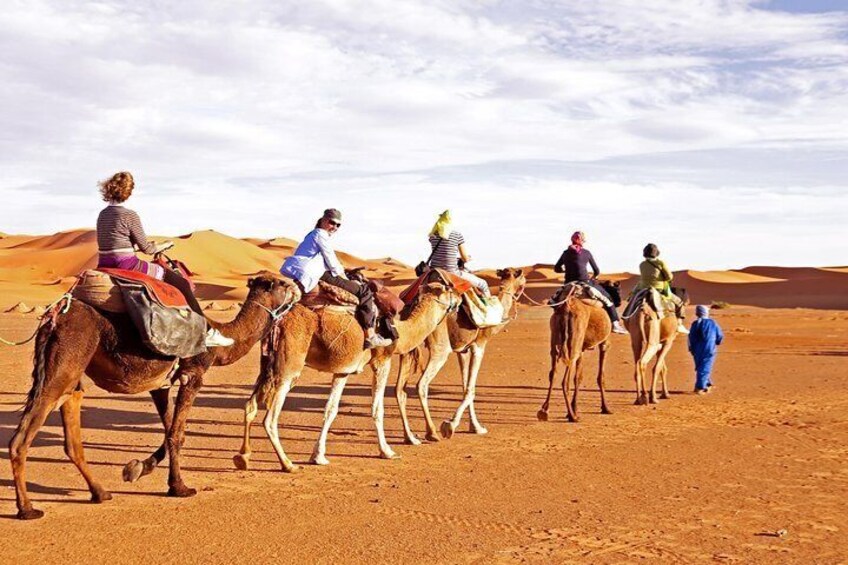 Camel Ride