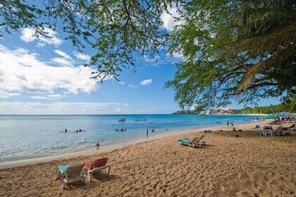 Sosua Beach day trip from amber cove and Taino bay puerto plata