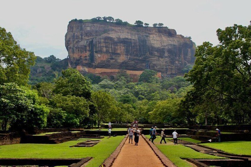 Day Tour To Sigiriya Rock Fortress and Dambulla Cave Temple from ...
