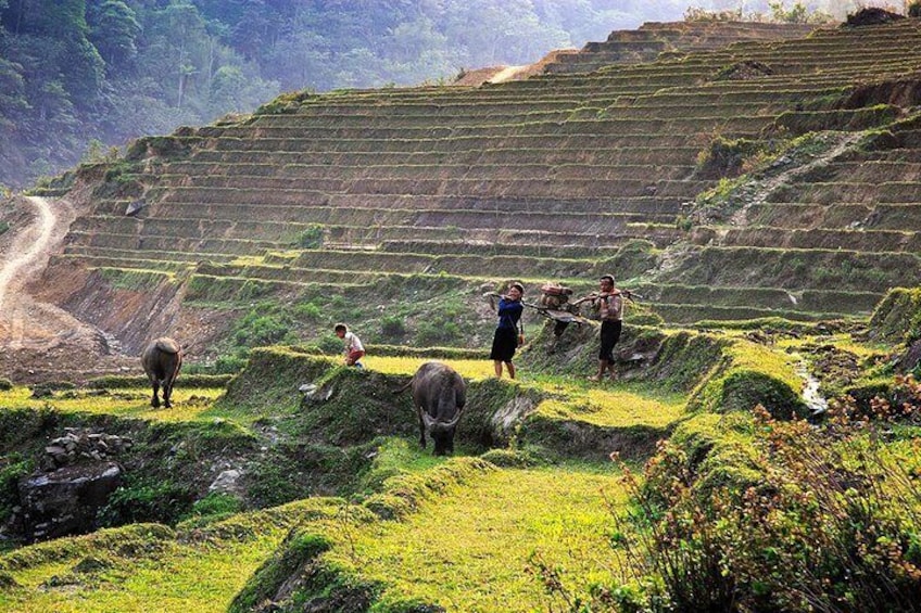Local people work