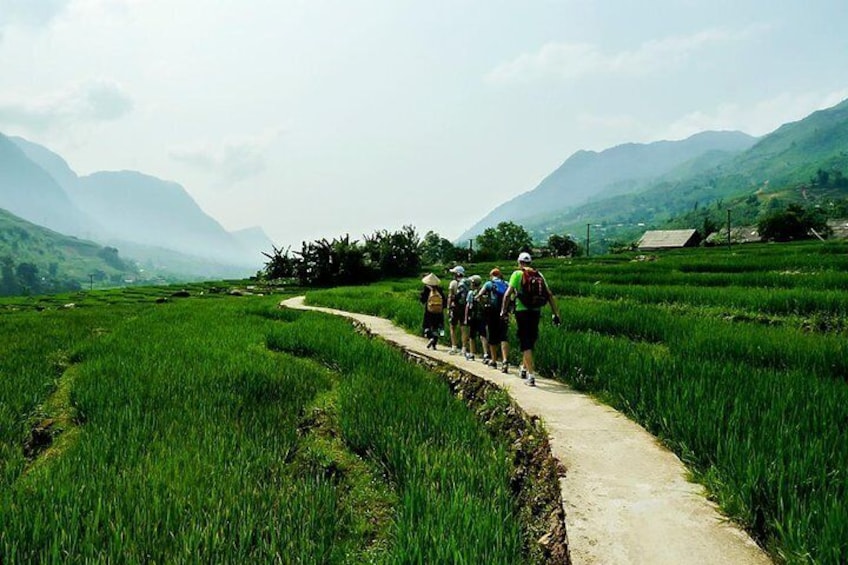Trekking Through Rice Terraced Fields
