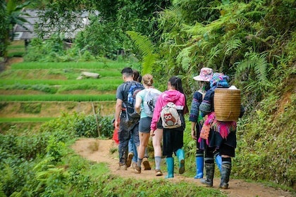 Trekking Through Rice Terraced Fields - 1Day​