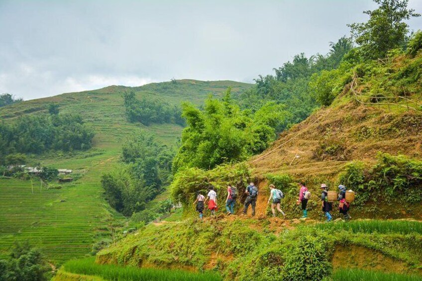 Trekking inside of the rice fields