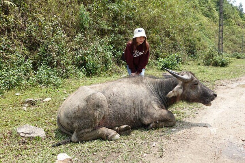 Sapa Valley Trek and Homestay - 3D2N