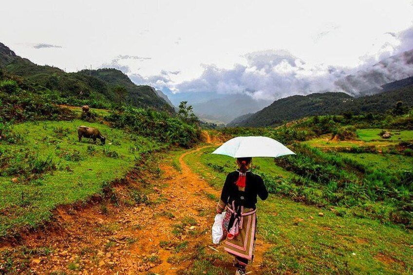 Sapa Valley Trek and Homestay - 3D2N