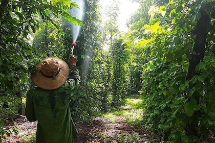 Cooking, Farming and Waterfall In Vietnam Countryside