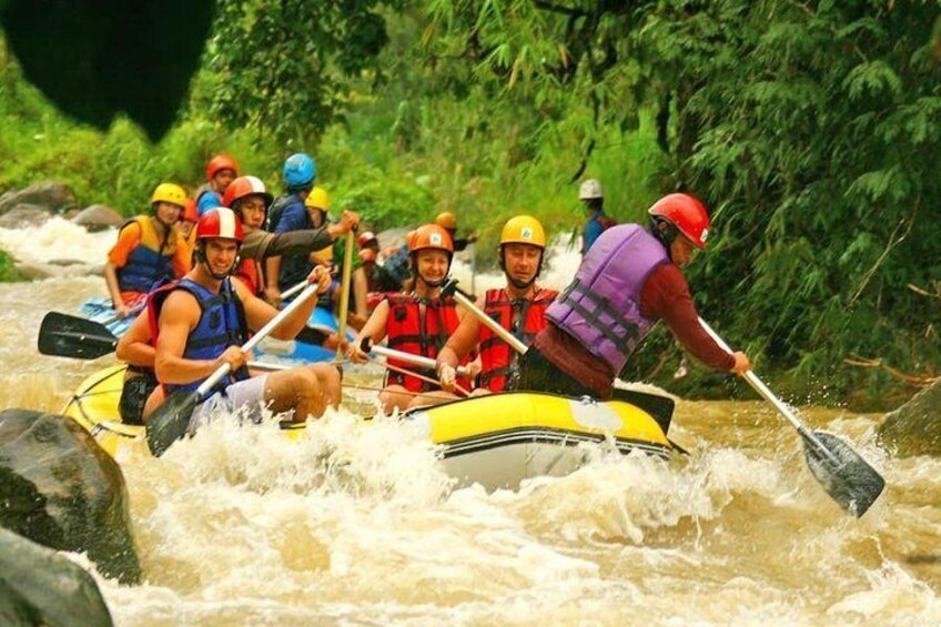 Whitewater Rafting 5 KM Only