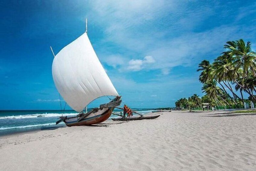 Negombo City And Fishing Village Private Day Tour From Colombo