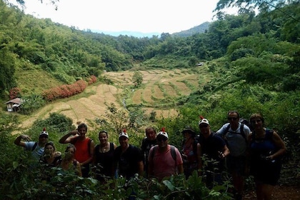 2 DAYS 1NIGHT Join Jungle Trek in Huay Nam Dung National Park