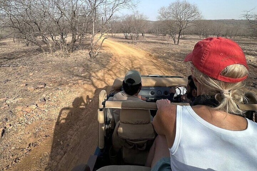 Jeep Safari at Ranthambore