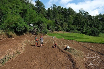 Village tourism - explore the local life