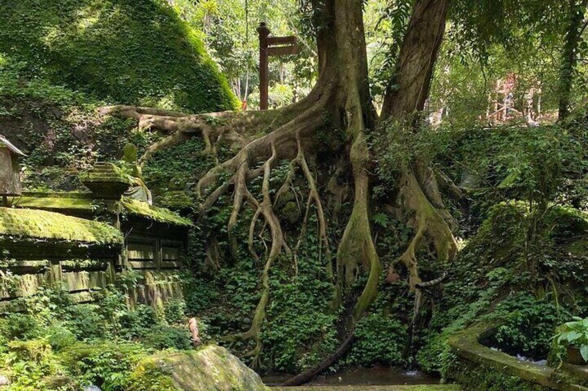 Soul Purification at Pura Mengening