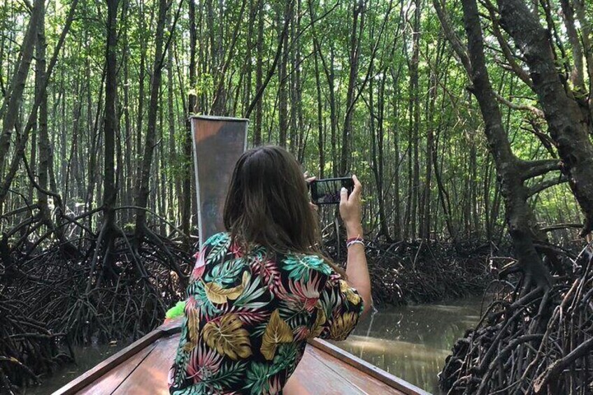 into the deep mangrove forest