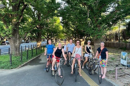 Shibuya Cycling Cruise