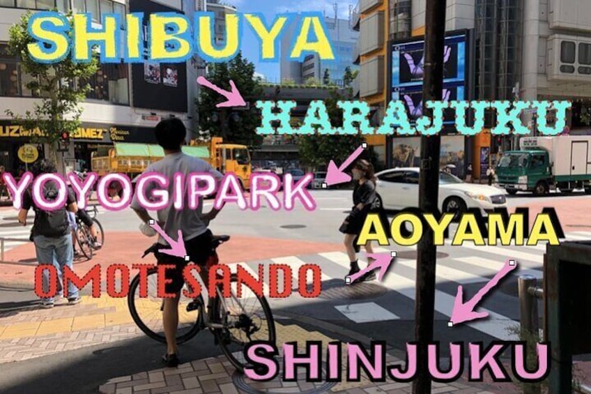 Shibuya Cycling Cruise
