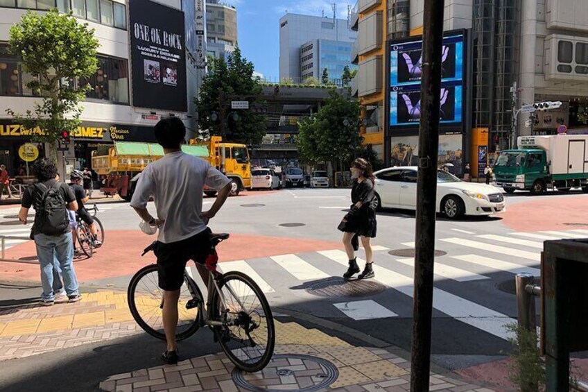 Shibuya Cycling Cruise