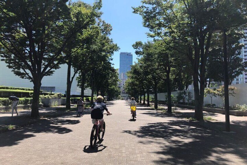 Shibuya Cycling Cruise