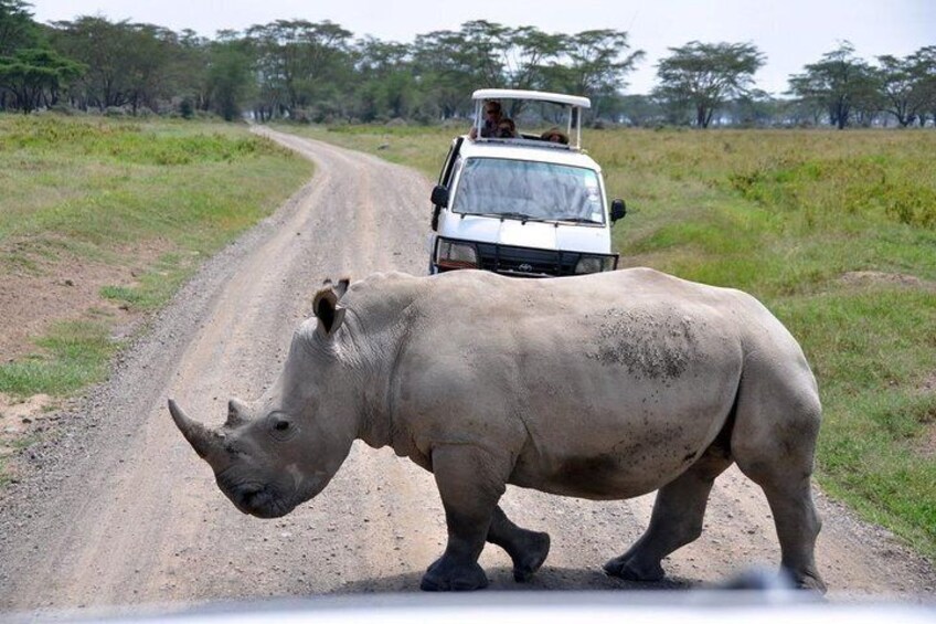 Aberdares National Park Luxury Lodge Safari 2days 1 Night Tour