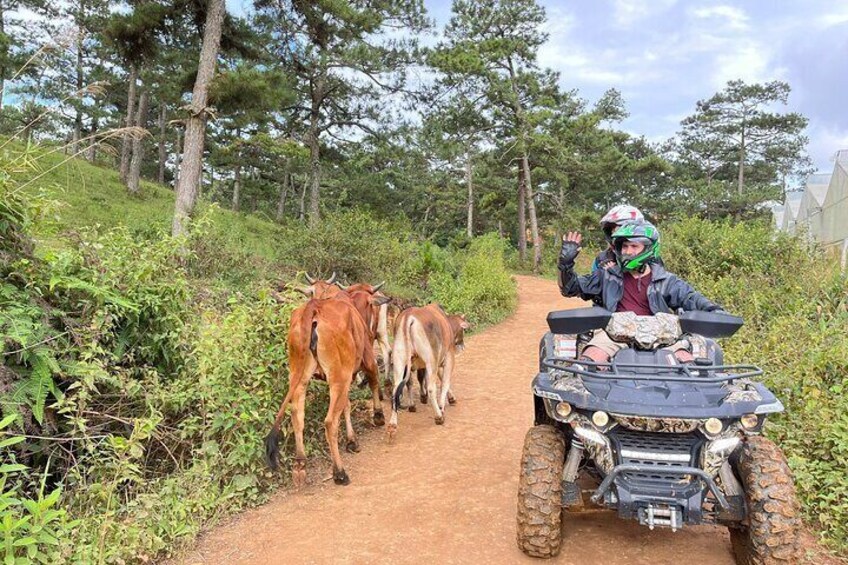 Dalat ATV Tour ( conquering the plateau Dalat) 