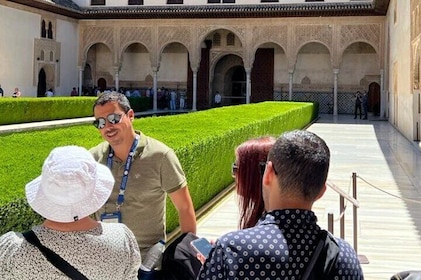 Visite privée de l'Alhambra, des palais Nasrides, du Généralife et de l'Alc...