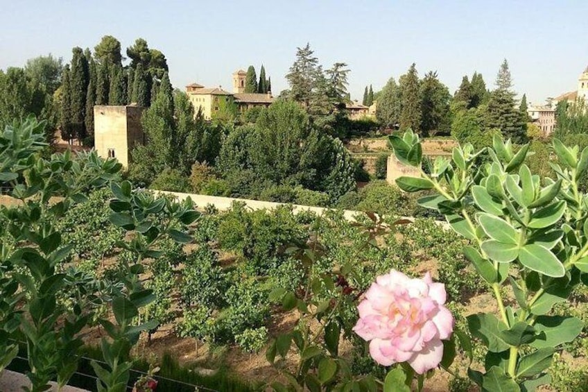 Alhambra, Nasrid Palaces, Generalife and Alcazaba Private Tour in Granada