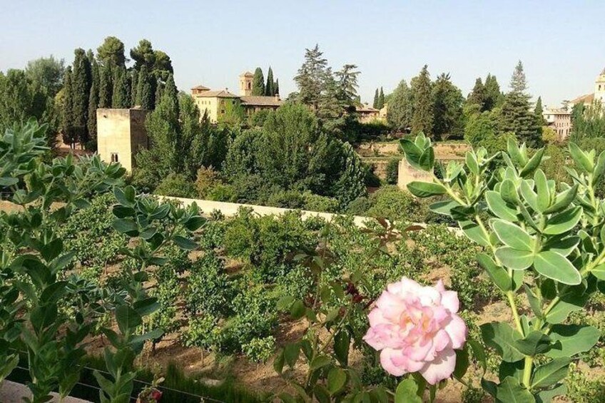 Alhambra, Nasrid Palaces, Generalife and Alcazaba Private Tour in Granada