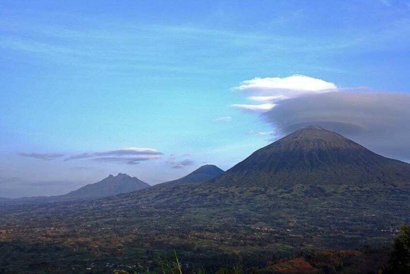 3 Days Gorilla and Golden Monkey Trek