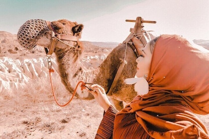 2 天卡帕多奇亞之旅，包括駱駝野生動物園和熱氣球之旅