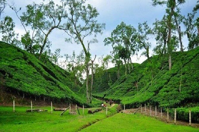 srimangal sylhet tourist place